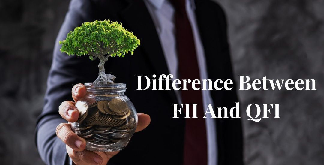 What is the Difference Between FII And QFI