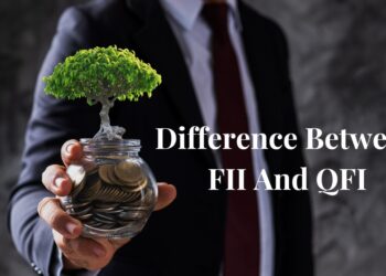 What is the Difference Between FII And QFI